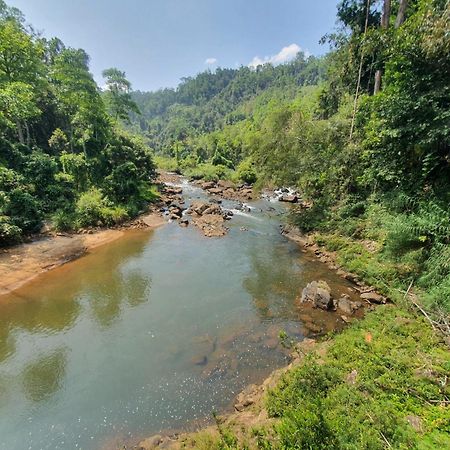 Rainforest River Bay Deniyaya Exteriér fotografie