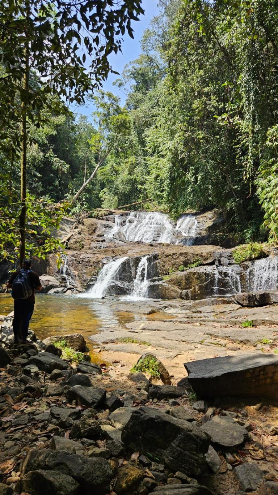 Rainforest River Bay Deniyaya Exteriér fotografie