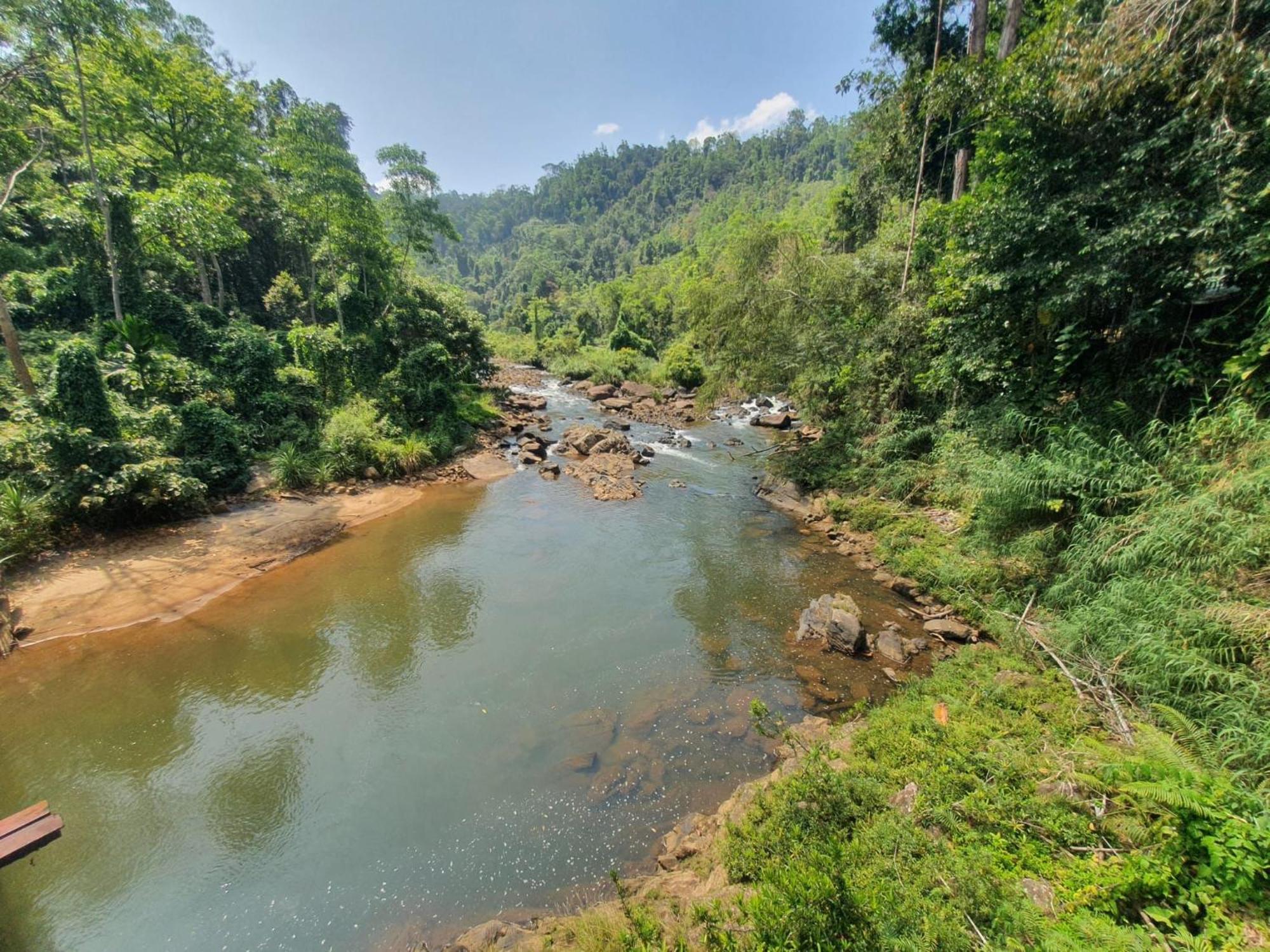 Rainforest River Bay Deniyaya Exteriér fotografie